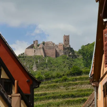 Center - Des Menetriers, Le Tokay - Ribeauvillé